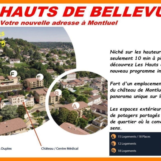  Annonces VILLETTE D ANTHON : Appartement | MONTLUEL (01120) | 61 m2 | 310 000 &euro; 