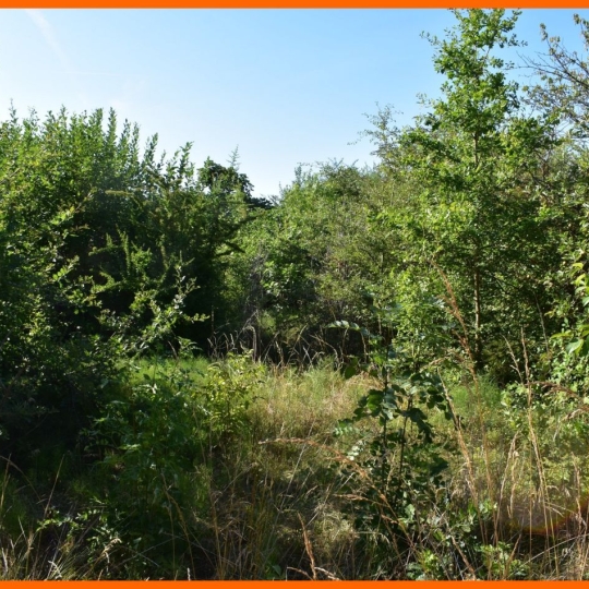  Annonces VILLETTE D ANTHON : Terrain | MONTLUEL (01120) | 0 m2 | 179 000 &euro; 