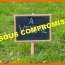  Annonces VILLETTE D ANTHON : Terrain | PIZAY (01120) | 0 m2 | 120 000 &euro; 