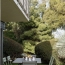  Annonces VILLETTE D ANTHON : Appartement | CALUIRE-ET-CUIRE (69300) | 93 m2 | 516 850 &euro; 