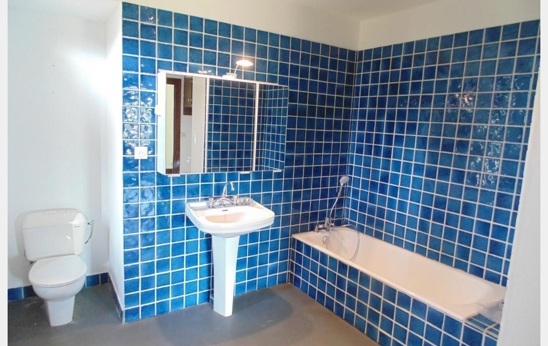 Annonces VILLETTE D ANTHON : Maison / Villa | JOYEUX (01800) | 297 m2 | 1 525 &euro; 