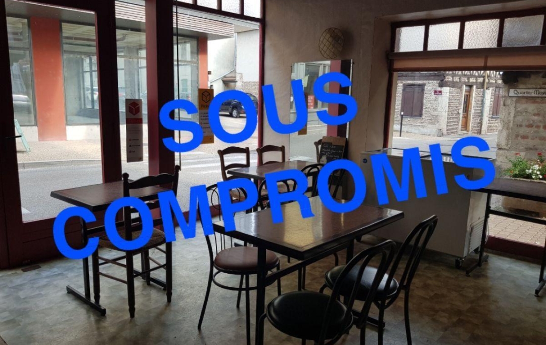 Annonces VILLETTE D ANTHON : Commerces | MEXIMIEUX (01800) | 0 m2 | 55 000 &euro; 
