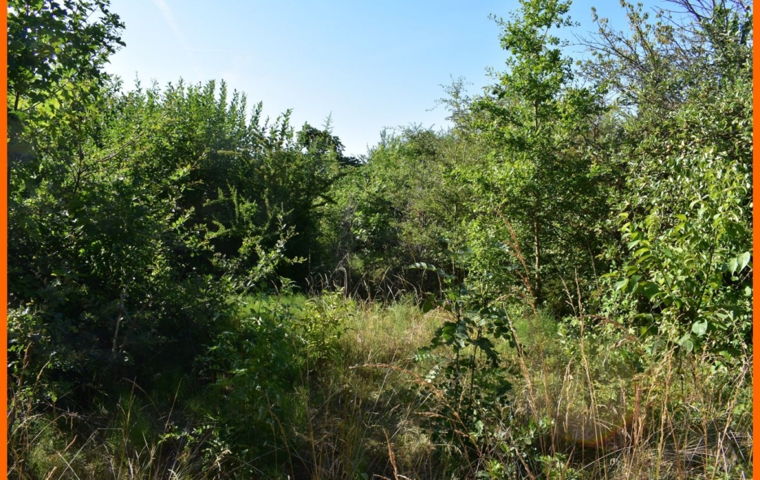 Annonces VILLETTE D ANTHON : Terrain | MONTLUEL (01120) | 0 m2 | 179 000 &euro; 